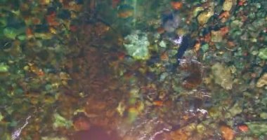 Güneşli yaz sabahında temiz ve taze bir dağ nehri üzerinde uçuşun ortasındayız. Üst görünüm ve yatay hareket