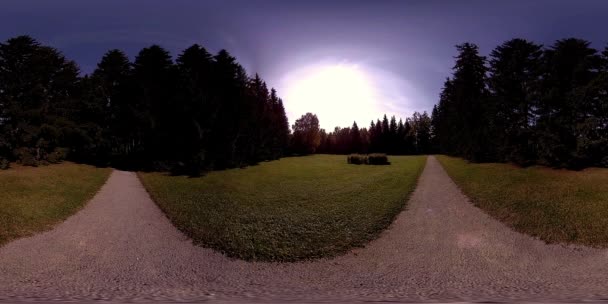 UHD 4K 360 VR Virtuální realita rekreační oblasti městského parku. Stromy a zelená tráva na podzim nebo v létě — Stock video