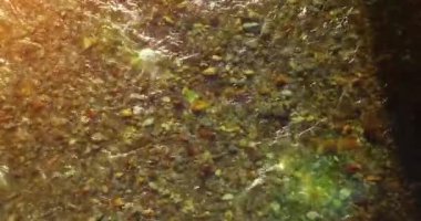 Güneşli yaz sabahında temiz ve taze bir dağ nehri üzerinde uçuşun ortasındayız. Üst görünüm ve yatay hareket