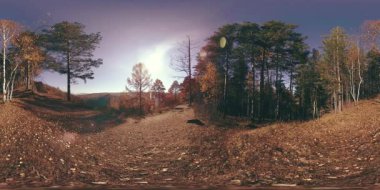 4k Sonbahar zaman bir güzel dağ sahnenin 360 Vr sanal gerçeklik. Vahşi Rus dağlar.