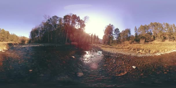 360 VR réalité virtuelle d'une montagne sauvage, pinède et rivière coule. Parc national, prairie et rayons du soleil. — Video