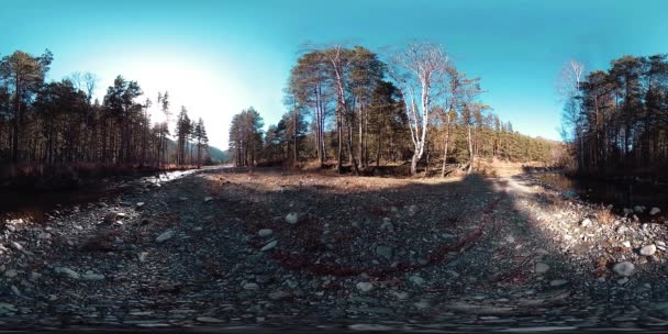360-минутная виртуальная реальность диких гор, соснового леса и рек. Национальный парк, луга и солнечные лучи. — стоковое видео