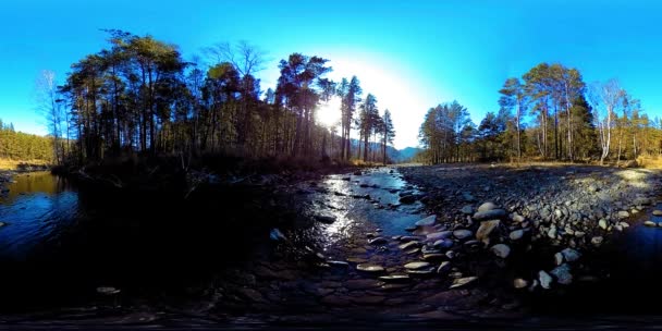 360 VR realidad virtual de montañas salvajes, bosques de pinos y ríos fluye. Parque Nacional, prados y rayos de sol. — Vídeo de stock