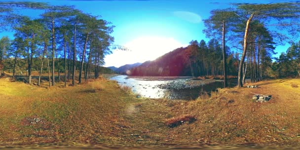 360 VR realidade virtual de uma montanha selvagem, pinhal e fluxos de rio. Parque nacional, prado e raios de sol. — Vídeo de Stock