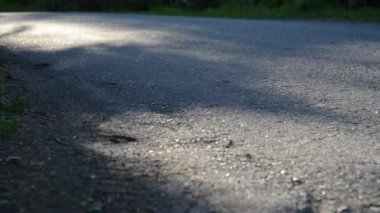 Asfalt yolda koşan sporcu. Kırsal şehir parkı. Yeşil ağaç ormanı ve ufukta güneş ışığı.