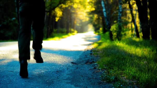 Sportovec běžící na asfaltové cestě. Venkovský městský park. Zelený les a sluneční paprsky na obzoru. — Stock video