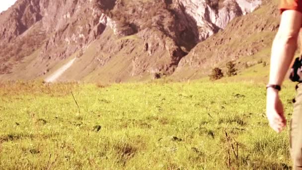 Orang hiking berjalan di padang rumput gunung hijau dengan ransel. Olahraga musim panas dan konsep rekreasi . — Stok Video
