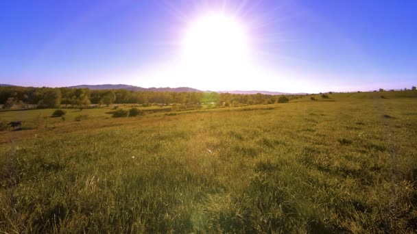 4K UHD山の牧草地は夏にタイムラプスします。雲、木、緑の草、太陽光線の動き. — ストック動画