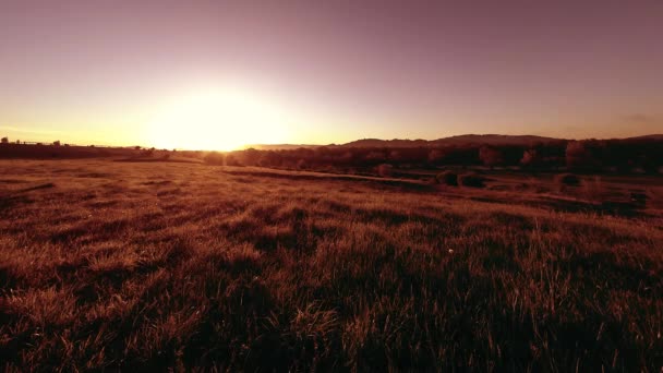 4K UHD prairie de montagne timelapse à l'été. Nuages, arbres, herbe verte et mouvement des rayons du soleil. — Video