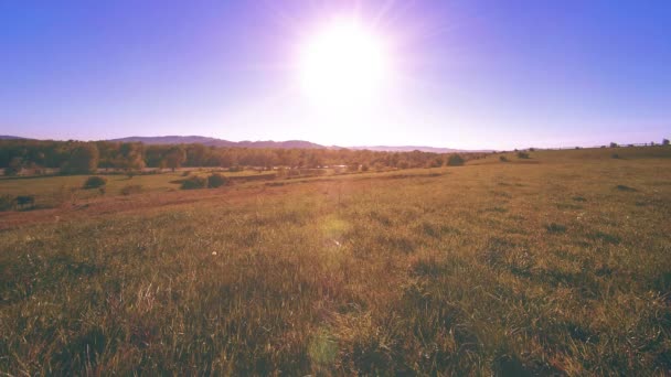 4K UHD Bergwiesen Zeitraffer im Sommer. Wolken, Bäume, grünes Gras und Sonnenstrahlen. — Stockvideo