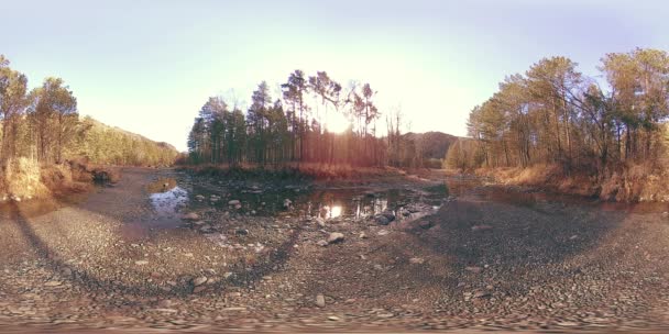 360 VR virtual reality of a wild mountains, pine forest and river flows. National park, meadow and sun rays. — Stock Video