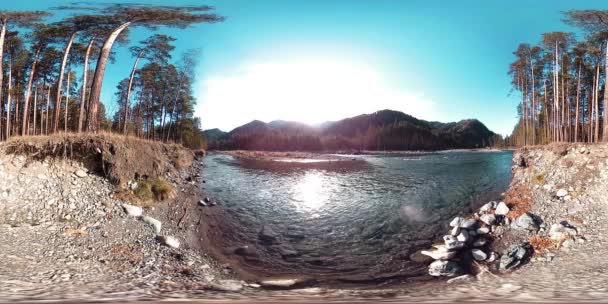 360 VR realidade virtual de uma montanha selvagem, pinhal e fluxos de rio. Parque nacional, prado e raios de sol. — Vídeo de Stock