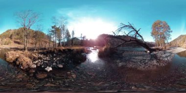 Vahşi dağların, çam ormanlarının ve nehir akışlarının 360 VR sanal gerçekliği. Ulusal park, çayır ve güneş ışınları.