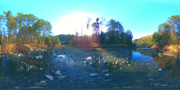 360 VR realidade virtual de uma montanha selvagem, pinhal e fluxos de rio. Parque nacional, prado e raios de sol. — Vídeo de Stock