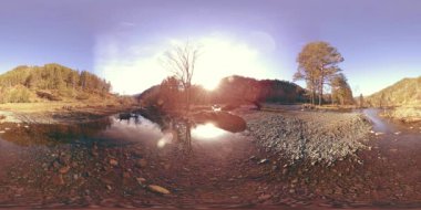 Vahşi dağların, çam ormanlarının ve nehir akışlarının 360 VR sanal gerçekliği. Ulusal park, çayır ve güneş ışınları.