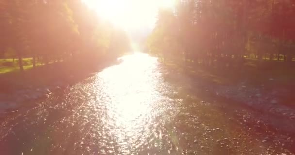 Vol en vol au-dessus d'une rivière de montagne fraîche et propre au matin ensoleillé d'été — Video