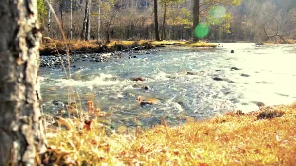 Dolly deslizante tiro da água espirrando em um rio de montanha perto da floresta. Rochas molhadas e raios solares. Movimento horizontal estável. — Vídeo de Stock