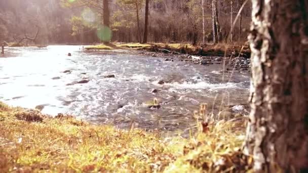 森の近くの山の川で水しぶきのドリースライダーショット。ぬれた岩や太陽の光線。水平安定運動. — ストック動画