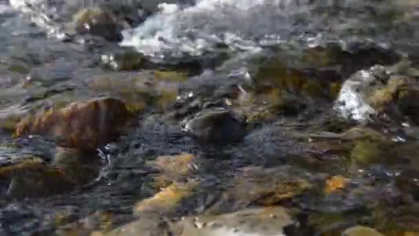 Dolly-Slider-Aufnahme des plätschernden Wassers in einem Gebirgsfluss in Waldnähe. Nasse Felsen und Sonnenstrahlen. Horizontale stetige Bewegung. Rohe, flache Farben. — Stockvideo