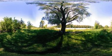 UHD 4K 360 VR Bir nehrin Sanal Gerçekliği güzel dağ ormanlarında kayaların üzerinden akıyor