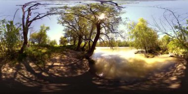 UHD 4K 360 VR Bir nehrin Sanal Gerçekliği güzel dağ ormanlarında kayaların üzerinden akıyor