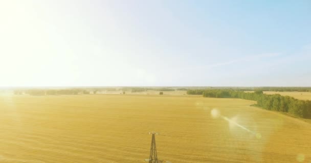 Vertikální pohyb blízko vysokonapěťové elektrické věže a vedení na zeleném a žlutém poli — Stock video