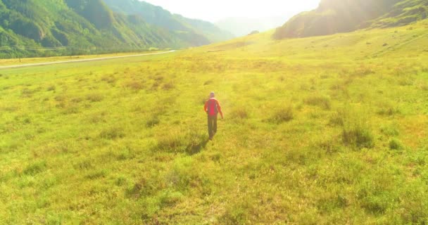 Sırt çantasıyla gezen turist yeşil dağ tarlasında yürüyor. Yaz günü büyük kırsal vadi. — Stok video