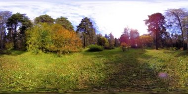 Bir şehir parkının UHD 4K 360 VR Sanal Gerçekliği. Sonbaharda ya da yaz gününde ağaçlar ve yeşil çimenler