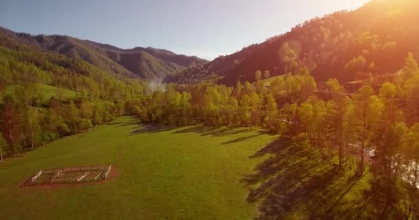 Mittlerer Luftflug über frischem Gebirgsfluss und Wiese am sonnigen Sommermorgen. Schotterpiste unten. — Stockvideo