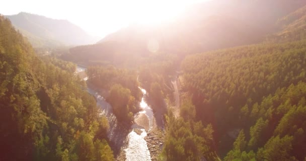 Mid air flight over fresh mountain river and meadow at sunny summer morning. Rural dirt road below. — Stock Video