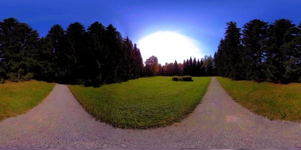 UHD 4K 360 VR Réalité virtuelle d'un parc municipal zone de loisirs. Arbres et herbe verte le jour d'automne ou d'été — Video