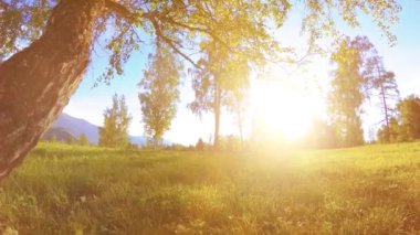 Dağ manzarasında yeşil çimenler, ağaçlar ve güneş ışınlarıyla güneşli kırsal çayır. Motorlu kaydırma kulesinde çapraz hareket.