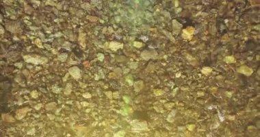 Güneşli yaz sabahında temiz ve taze bir dağ nehri üzerinde uçuşun ortasındayız. Üst görünüm ve yatay hareket