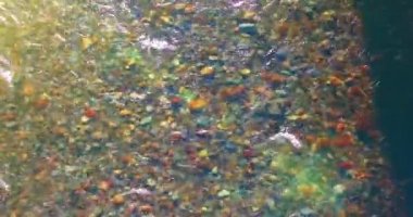 Güneşli yaz sabahında temiz ve taze bir dağ nehri üzerinde uçuşun ortasındayız. Üst görünüm ve yatay hareket