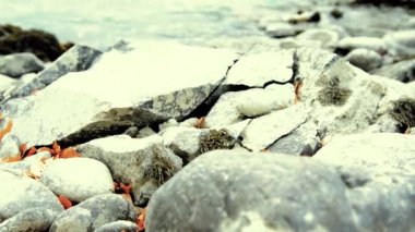 Dolly ormanın yakınındaki bir dağ nehrinde akan suyun kaygan görüntüsü. Islak kayalar ve güneş ışınları. Yatay sabit hareket.