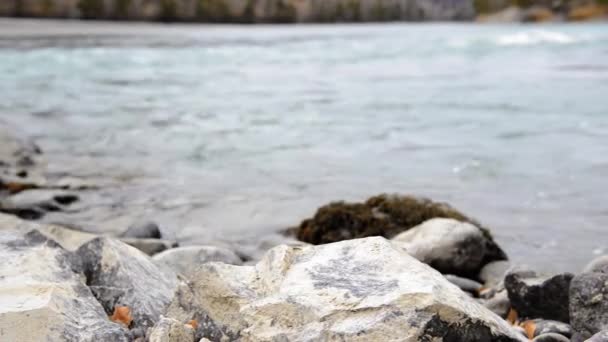 Dolly deslizador de tiro de las salpicaduras de agua en un río de montaña cerca del bosque. Rocas húmedas y rayos de sol. Movimiento horizontal constante. — Vídeo de stock