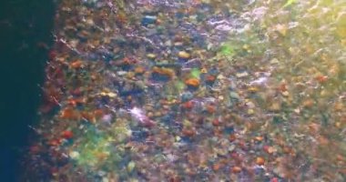 Güneşli yaz sabahında temiz ve taze bir dağ nehri üzerinde uçuşun ortasındayız. Üst görünüm ve yatay hareket