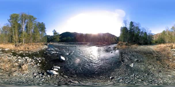 360 VR realidad virtual de montañas salvajes, bosques de pinos y ríos fluye. Parque Nacional, prados y rayos de sol. — Vídeo de stock