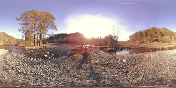 360 VR virtual reality of a wild mountains, pine forest and river flows. National park, meadow and sun rays. — Stock Video