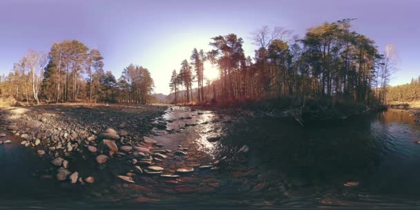 360 VR virtual reality of a wild mountains, pine forest and river flows. National park, meadow and sun rays. — Stock Video