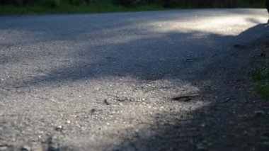 Asfalt yolda koşan sporcu. Kırsal şehir parkı. Yeşil ağaç ormanı ve ufukta güneş ışığı.