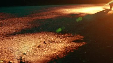 Asfalt yolda koşan sporcu. Kırsal şehir parkı. Yeşil ağaç ormanı ve ufukta güneş ışığı.