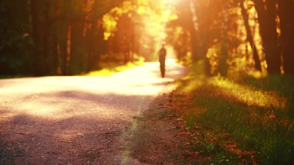 Un uomo sportivo che corre sulla strada asfaltata. Parco urbano rurale. Bosco alberato verde e raggi di sole all'orizzonte. — Video Stock