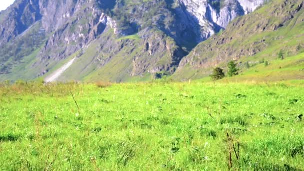 Hiking man lopen op groene berg weide met rugzak. Zomer concept op het gebied van sport en recreatie. — Stockvideo