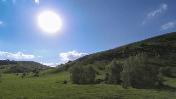 4K UHD山の牧草地は夏にタイムラプスします。雲、木、緑の草、太陽光線の動き. — ストック動画