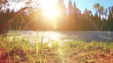 Dağ nehri kıyısındaki çayır. Yeşil çimlerle, çam ağaçlarıyla ve güneş ışınlarıyla kaplı bir manzara. Motorlu kaydırma kulesinde hareket.