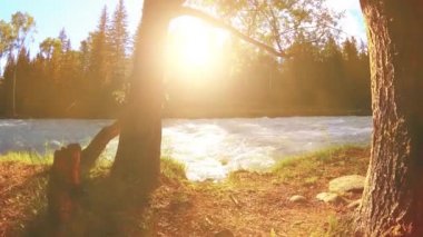 Dağ nehri kıyısındaki çayır. Yeşil çimlerle, çam ağaçlarıyla ve güneş ışınlarıyla kaplı bir manzara. Motorlu kaydırma kulesinde hareket.