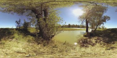 UHD 4K 360 VR Bir nehrin Sanal Gerçekliği güzel dağ ormanlarında kayaların üzerinden akıyor