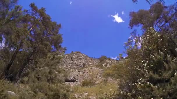 4K UHD timelapse di montagna in estate. Nuvole alberi verdi e raggi del sole movimento. — Video Stock