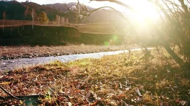 Dolly-Slider-Aufnahme des plätschernden Wassers in einem Gebirgsfluss in Waldnähe. Nasse Felsen und Sonnenstrahlen. Horizontale stetige Bewegung. — Stockvideo